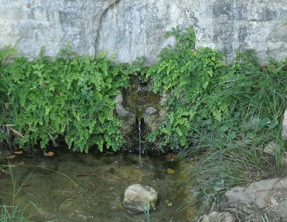 Traditional Stonehouse Потістіка Екстер'єр фото